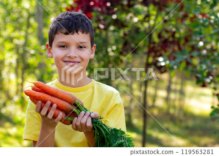 A smiling boy in yellow t-shirt is holding two bunches of large orange carrots with leaves in the autumn garden near green and red trees. 119563281
