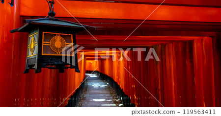 Kyoto Fushimi Inari Taisha Shrine Torii Torii Kyoto Fushimi Inari Taisha Shrine Torii Torii 119563411