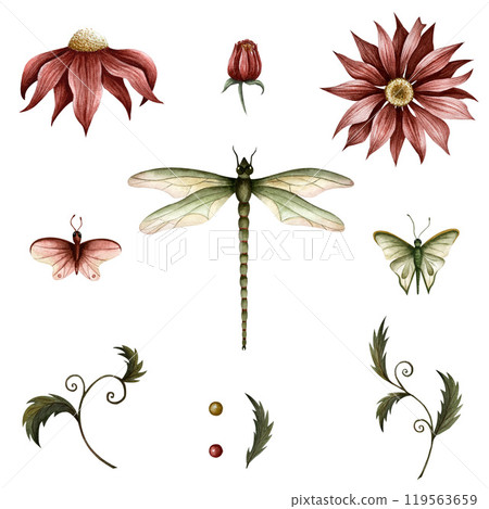 Set of individual elements of flowers, plants, dragonfly and butterfly. Watercolor illustration. Can use on postcards, websites, t-short, store sign, booklet, add, compositions, framing. Vintage style Set of individual elements of flowers, plants, dragonfly and butterfly. Watercolor illustration. Can use on postcards, websites, t-short, store sign, booklet, add, compositions, framing. Vintage style 119563659