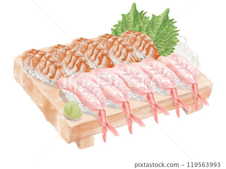 Watercolor sushi set (shrimp, raw shrimp) 01_1 Watercolor sushi set (shrimp, raw shrimp) 01_1 119563993