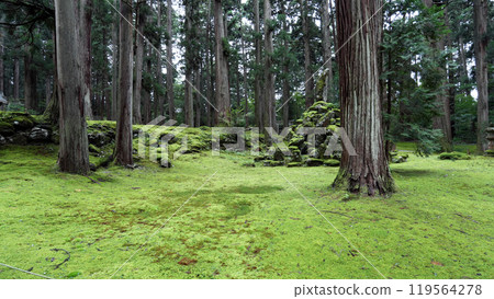 白山神社 白山神社 119564278