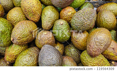 Avocado on the counter. Avocado in the store. Avocado background 119564309