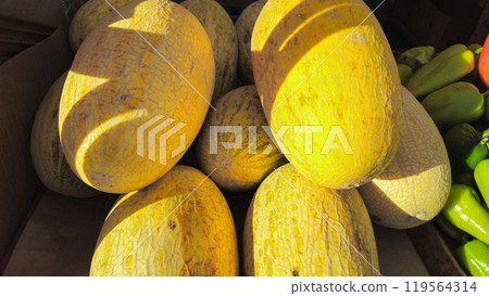 Mirza melon on the market shelves. Yellow, ripe melons on the counter 119564314