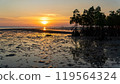 Epic sunset scene on Koh Phangan island. The sun's rays illuminate the clouds, and the sky is mirrored from the water and sand against the backdrop of mangrove trees 119564324