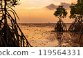 Epic sunset scene on Koh Phangan island. The sun's rays illuminate the clouds, and the sky is mirrored from the water and sand against the backdrop of mangrove trees 119564331