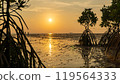 Epic sunset scene on Koh Phangan island. The sun's rays illuminate the clouds, and the sky is mirrored from the water and sand against the backdrop of mangrove trees 119564333