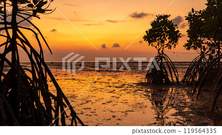 A sunset over a muddy beach with mangroves in the foreground A sunset over a muddy beach with mangroves in the foreground 119564335