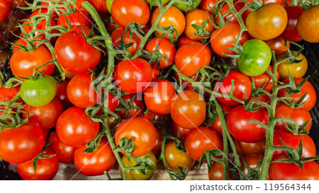 Tomatoes background. Tomatoes on the counter in the store. Vegetables 119564344