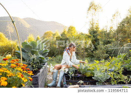 Morning in the Garden 119564711