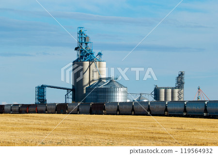 Rural scene in prairies - grain elevator and new train cars on the railway tracks in the autumn field under the blue sky. 119564932