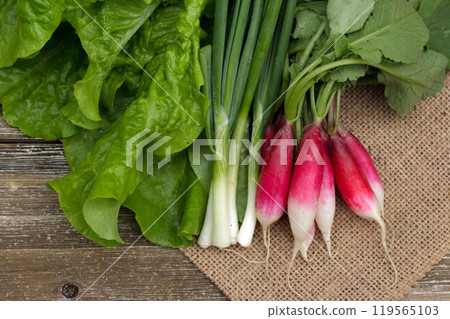 A bunch of freshly picked lettuce, radish and green onion are prepared for making salad on the burlap cloth on the wooden table. 119565103