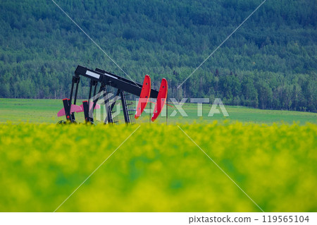 Pumpjack in the yellow blooming canola field and green forest hills in the background. Pumpjack in the yellow blooming canola field and green forest hills in the background. 119565104