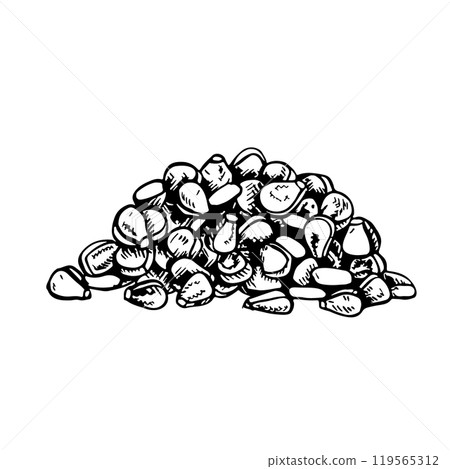 Corn kernels. Vector graphics depicting a bunch of corn kernels. Black and white hand-drawn illustration. On a white background. Great for stickers, banners, posters and packages. Corn kernels. Vector graphics depicting a bunch of corn kernels. Black and white hand-drawn illustration. On a white background. Great for stickers, banners, posters and packages. 119565312