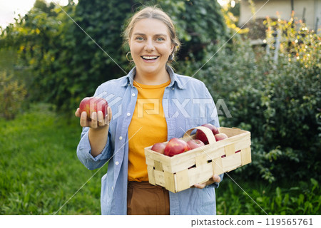 Happy Caucasian 30s farmer woman with freshly harvested apples in wooden box. Agriculture and gardening concept. Apple harvesting. Top view. Happy Caucasian 30s farmer woman with freshly harvested apples in wooden box. Agriculture and gardening concept. Apple harvesting. Top view. 119565761