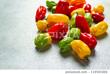 habanero pepper, color mix, raw, vegetable, top view, no people, habanero pepper, color mix, raw, vegetable, top view, no people, 119565808