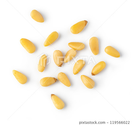 Roasted pine nuts 119566022