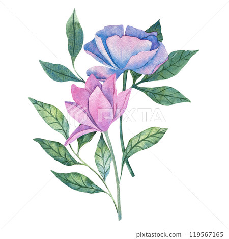 Watercolor illustration of delicate pink and blue flowers with green leaves. The soft colors and intricate design make it perfect for floral themed art, botanical projects, and nature inspired decor. 119567165