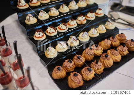 light snacks for the holiday, catering. Various light snacks. Catering plate. Assortment of sandwiches on the buffet table. meat, fish, vegetable canapes. light snacks for the holiday, catering. Various light snacks. Catering plate. Assortment of sandwiches on the buffet table. meat, fish, vegetable canapes. 119567401