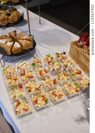 light snacks for the holiday, catering. Various light snacks. Catering plate. Assortment of sandwiches on the buffet table. meat, fish, vegetable canapes. light snacks for the holiday, catering. Various light snacks. Catering plate. Assortment of sandwiches on the buffet table. meat, fish, vegetable canapes. 119567402