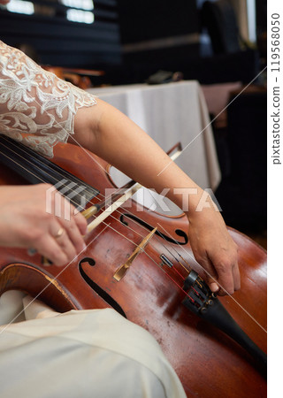 A cellist skillfully plays the cello, focused and immersed in the music A cellist skillfully plays the cello, focused and immersed in the music 119568050