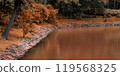 Embrace the beauty of autumn with this tranquil forest pond landscape. 119568325