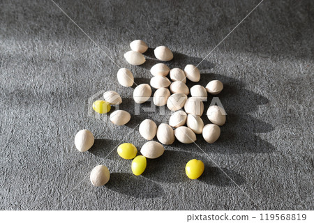 Ginkgo nuts on a grey background 119568819