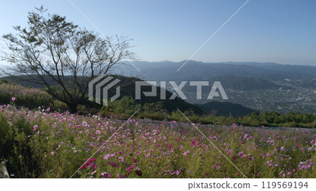 Washigamine Cosmos Park Drone 18 119569194