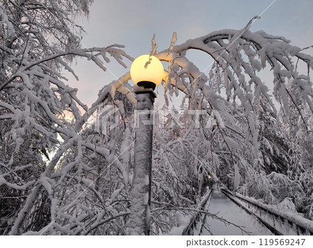 concept of extreme frost in Sweden, 100-year cold record, Storforsen concept of extreme frost in Sweden, 100-year cold record, Storforsen 119569247