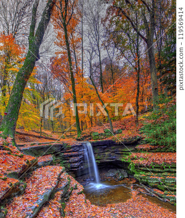 Dundee Falls in Autumn, Beach City Wilderness Area, Ohio 119569414