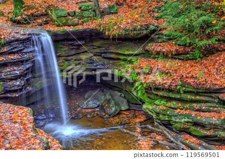Dundee Falls in Autumn, Beach City Wilderness Area, Ohio Dundee Falls in Autumn, Beach City Wilderness Area, Ohio 119569501