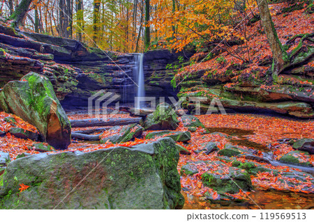 Dundee Falls in Autumn, Beach City Wilderness Area, Ohio 119569513