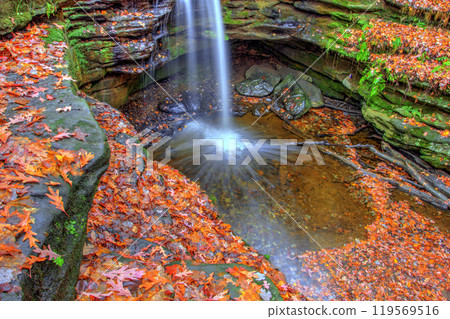 Dundee Falls in Autumn, Beach City Wilderness Area, Ohio 119569516