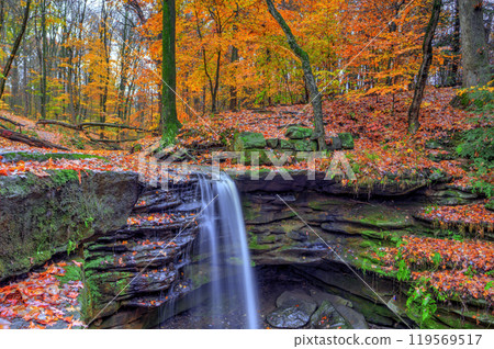 Dundee Falls in Autumn, Beach City Wilderness Area, Ohio Dundee Falls in Autumn, Beach City Wilderness Area, Ohio 119569517