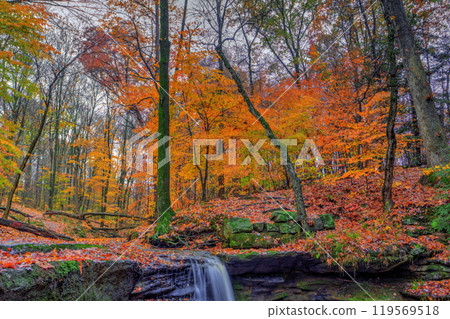 Dundee Falls in Autumn, Beach City Wilderness Area, Ohio Dundee Falls in Autumn, Beach City Wilderness Area, Ohio 119569518