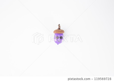 a single acorn with a painted face on white background. top view, cap is natural brown, while the body is painted purple 119569728