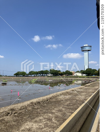 晴朗的天空下志工參與插秧 119570309