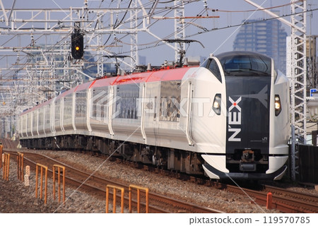 成田特快E259號特快列車在高架線上高速行駛_2010年7月25日攝 119570785