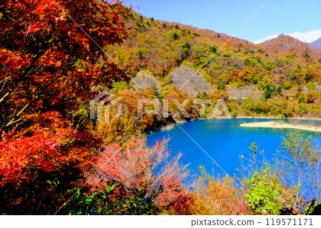Four hundred thousand lake of colored leaves Four hundred thousand lake of colored leaves 119571171