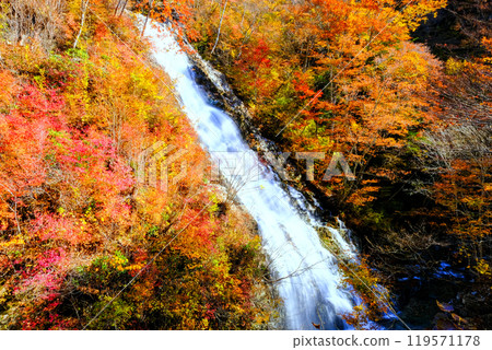 Autumn leaves and shakunage falls Autumn leaves and shakunage falls 119571178