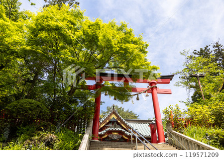 從石階中央看到高尾山藥王院、紅色鳥居和參拜堂,綠意盎然 從石階中央看到高尾山藥王院、紅色鳥居和參拜堂,綠意盎然 119571209