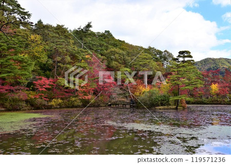 Autumn scenery of Kobe Forest Botanical Garden 119571236