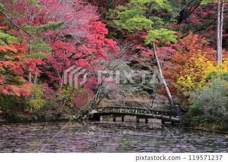 神戶森林植物園秋景 119571237