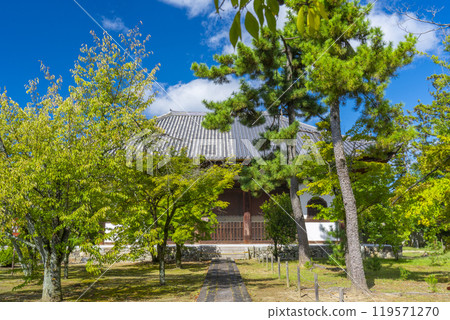 太宗廣隆寺禮堂（京都市右京區太宗八岡町） 119571270