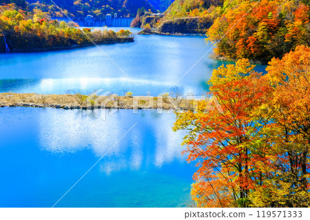 Autumnal forest and Shimagawa Dam 119571333