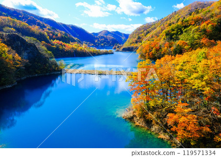 Beautiful autumn foliage at Shimagawa Dam in autumn 119571334