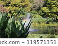Fountain surrounded by greenery 119571351