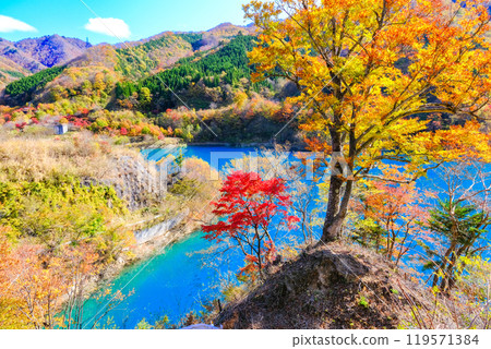 Autumn foliage at Shimagawa Dam 119571384