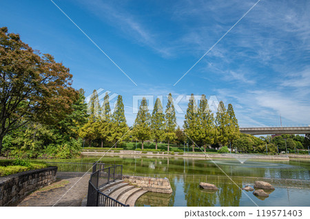 城北公園風景 大阪市 城北公園風景 大阪市 119571403