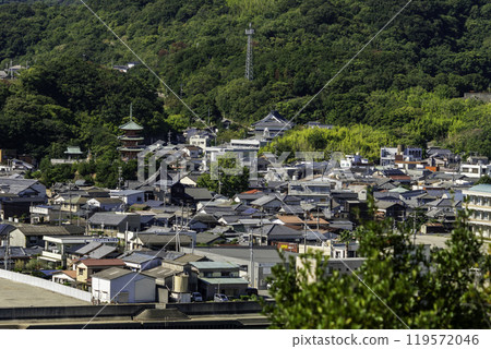 Shodoshima, around Saikoji Temple, Tonosho Town, Kagawa Prefecture Shodoshima, around Saikoji Temple, Tonosho Town, Kagawa Prefecture 119572046