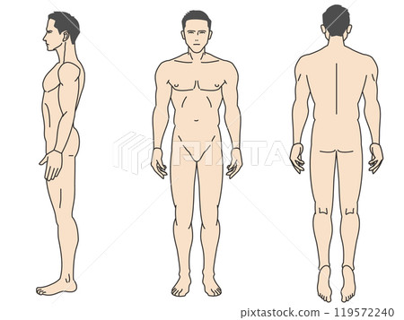 從正面和側面觀察的 8 個男性全身彩色插圖集。 119572240
